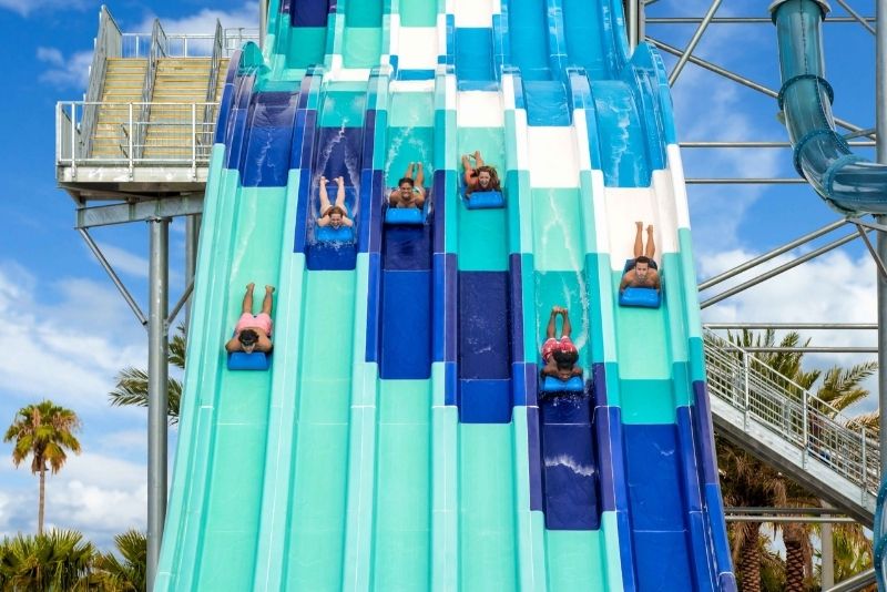 Zoom down the slides at Island H2O Live!