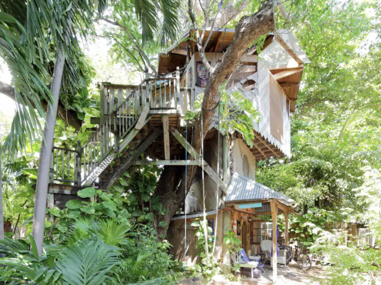 The goat-friendly treehouse in Little River